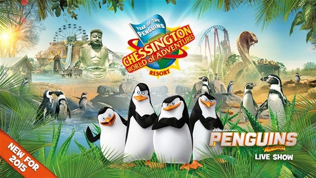Year of the Penguins at Chessington World of Adventures