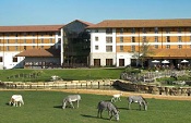 Holiday Inn Chessington