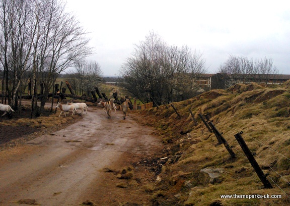 Zufari - Ride into Africa at Chessington World of Adventures