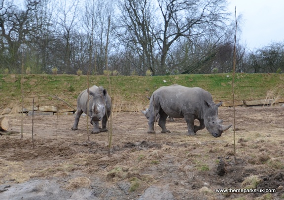 Zufari - Ride into Africa at Chessington World of Adventures