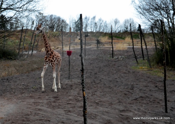 Zufari - Ride into Africa at Chessington World of Adventures