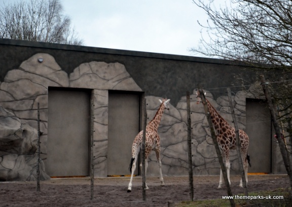 Zufari - Ride into Africa at Chessington World of Adventures