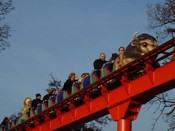 Drayton-Manor-Buffalo-Small.jpg