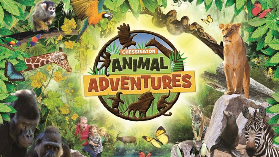 February Half Term 2020 at Chessington