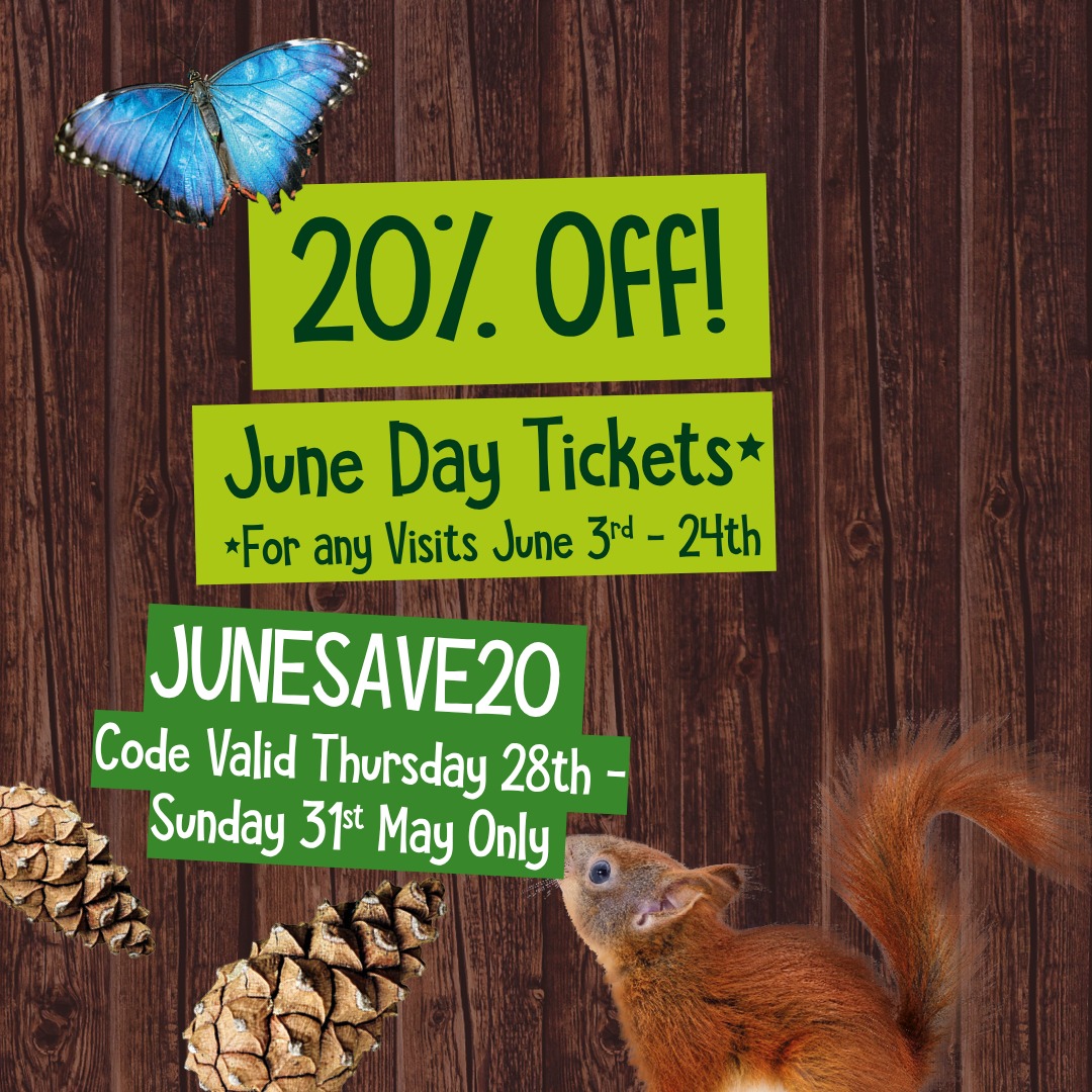 Save 20% on June Day Tickets at Landmark Forest Adventure Park