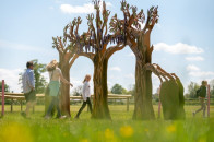 BeWILDerwood-4.jpg