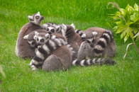 Paultons_Park_Photos_107.jpg